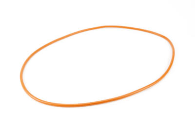 Shasta Chamber O-Ring
