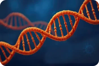 Oligonucleotides